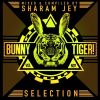 Download track BBB (Original Mix)