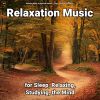 Download track Relaxing Music To Help Fall Asleep