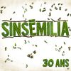 Download track Nourrissons Nos Cerveaux (30 Ans)