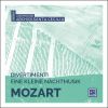 Download track Divertimento In D Major K. 136: II. Andante