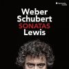 Download track 08. Piano Sonata In B Major, D. 575, Op. Posth. 147 - IV. Allegro Giusto