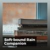 Download track Raining Today And Tomorrow