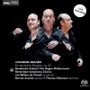 Download track Ein Deutsches Requiem, Op. 45: VI. Denn Wir Haben Hie Keine Bleibende Statt (Andante)