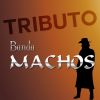 Download track Las Nachas