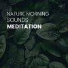 Download track Morning Nature Sounds, Pt. 1