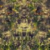 Download track Monkey Planet (With Solarythm) 150 Bpm 24bit