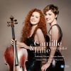 Download track 21 Hungarian Dances, WoO 1: No. 5 In F-Sharp Minor