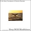 Download track Harmony In Daily Life Fueled By Neural Music Therapy Techniques For Sleep