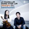 Download track Violin Sonata No. 1 In D Major, Op. 12: II. Tema Con Variazioni. Andante Con Moto