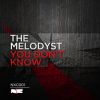 Download track You Don't Know
