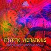 Download track Disco Bass