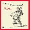 Download track Bach, J. S. Cello Suite No. 2 In D Minor, BWV 1008 VII. Gigue