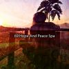 Download track Zen Desires