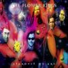Download track Don Of The Universe