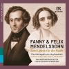 Download track String Symphony No. 8 In D Major, MWV N 8 I. Adagio E Grave - Allegro