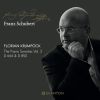 Download track Franz Schubert Sonata In B Major, D. 850 IV. Rondo - Allegro Moderato