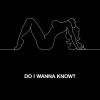 Download track Do I Wanna Know