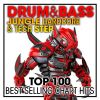 Download track The Last Chance (Drum & Bass Jungle Hardcore)