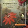 Download track Concerto In G Minor For 2 Oboes & Bassoon, TWV 53: G1: V. Allegro