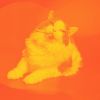 Download track Beautiful Music For Impressions