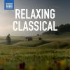 Download track 5 Preludes, Op. 16 IV. Prelude No. 4 In E-Flat Minor Lento