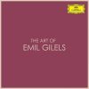 Download track Prelude In E Minor, BWV 855 (Arr. And Transp. To B Minor By A. Siloti)
