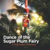Download track The Nutcracker, Op. 71, Act I, Scene 1: No. 6, Clara And The Nutcracker