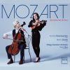Download track Symphony No. 29 In A Major, K. 201: IV. Allegro Con Spirito