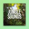 Download track Summer Rain Drops