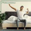 Download track Jour De Flemmardise