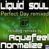 Download track Perfect Day