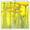 Download track 01. Sinfonia No. 1 'Il Martiro Di S. Terenziano' In D Major - Tempo Giusto E Staccato