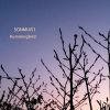 Download track A Hummingbird Hovering In The