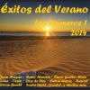Download track Soltera