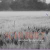 Download track 06.4 Impromptus, Op. 142, D. 935 No. 2 In A-Flat Major