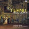Download track III. Menuetto: Allegro
