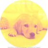 Download track Stellar Ambience For Well Behaved Dogs
