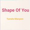 Download track Shape Of You
