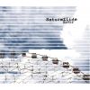 Download track Interceptor