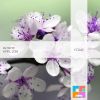 Download track Parallax (Sunny Lax Extended Remix)