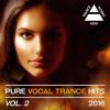 Download track Into The Flame (Ram Radio Edit)