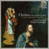 Download track 18. Cantata BWV 161.1. Aria Komm Du Süsse Todesstunde