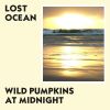 Download track I'm Not Crying