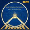 Download track Sinfonia In G Major: II. Andante