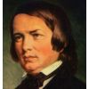 Download track Piano Concerto In A Minor Op. 54, Allegro Vivace - (Martha Bergerich; Berl. F)
