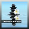 Download track Developing Sleep Melodies, Pt. 37