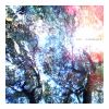 Download track Indeterminacy