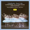 Download track 18. Act 2 - No. 11 Scene (Allegro Moderato)