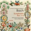 Download track 01. Symphony No. 1 - I. Allegro Assai. Andante