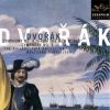 Download track Symphony No. 8 In G Major, Op. 88, III Allegretto Grazioso